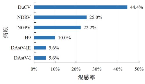 信得科技檢測中心2024年5月禽病檢測報告 聚焦蛋禽、肉禽、水禽健康管理與肝癌血漿microRNA標志物檢測新進展