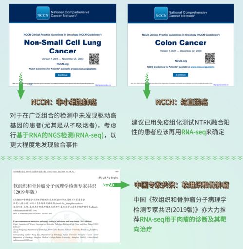 融二為一，精準抗癌 燃石醫學DNA+RNA雙檢測賦能實體瘤患者——論文解讀肝癌血漿microRNA標志物檢測報告系統